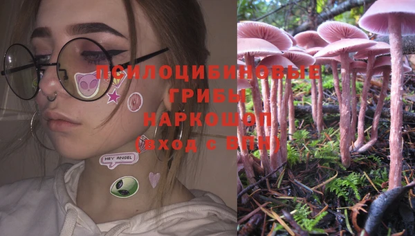 гидра Алексеевка