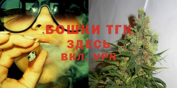 гидра Алексеевка