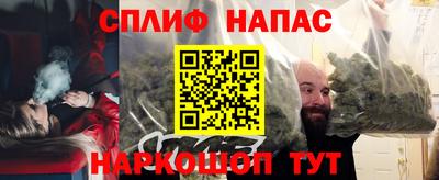 шишки Белореченск