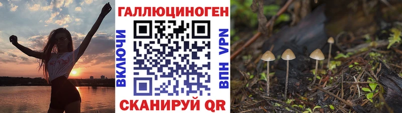 цены наркотик  MEGA ссылка  Галлюциногенные грибы ЛСД  Алексин 